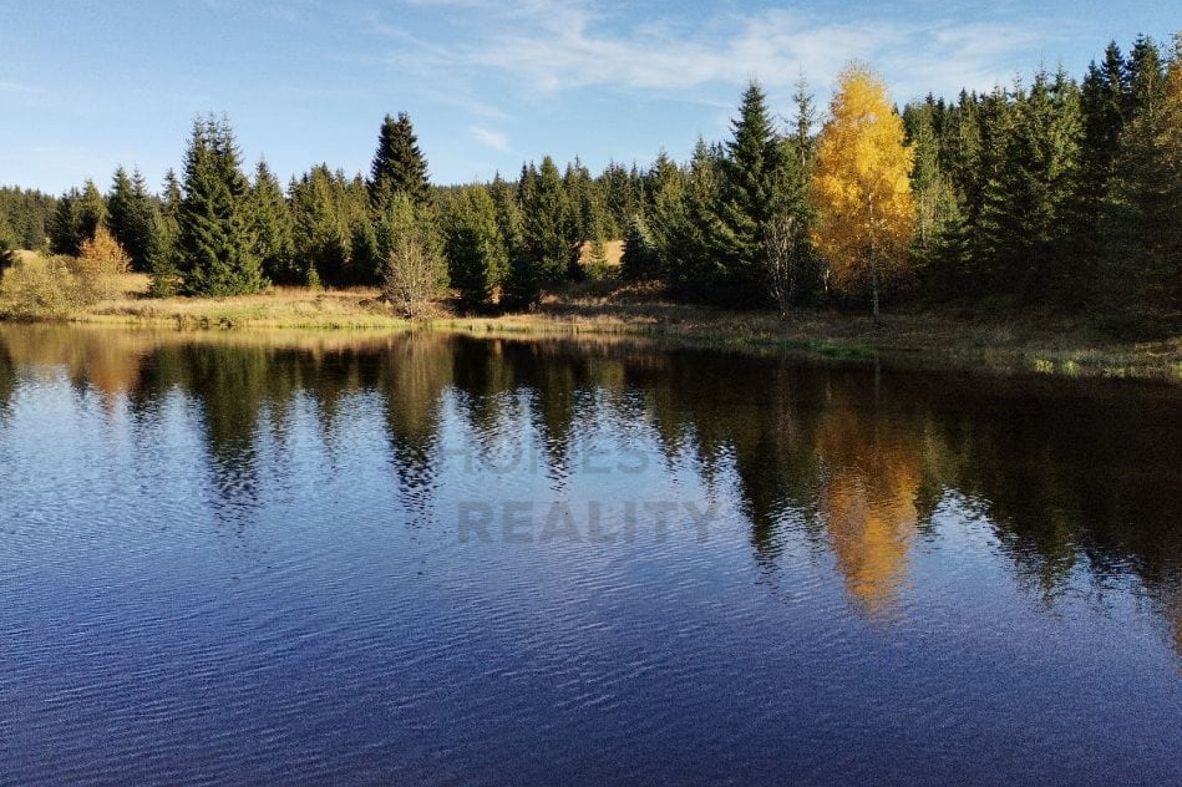 PRODEJ POZEMKU, Přebuz, Přebuz - Přebuz