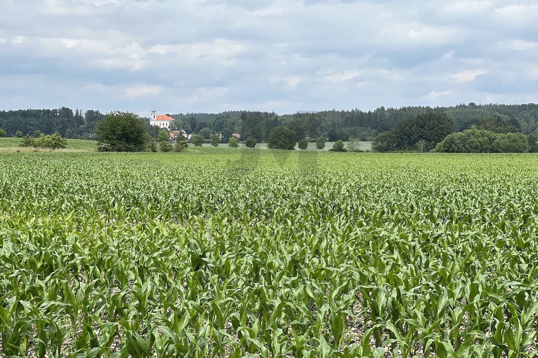 PRODEJ RODINNÉHO DOMU S BALKONEM, TERASOU A GARÁŽÍ, Malý vrch, Blatná - Blatná