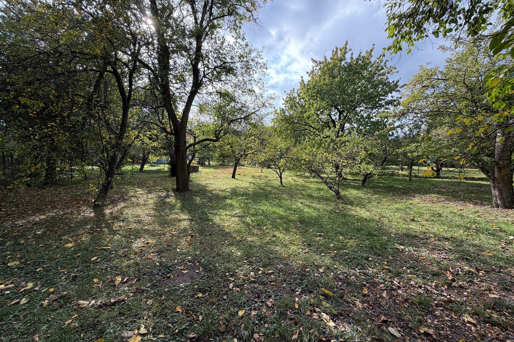 PRODEJ RODINNÉHO DOMU 4+1 S TERASOU A GARÁŽÍ, Brněnská, Lysice - Lysice
